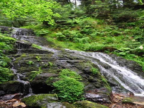 Region [summer] (>5 km)