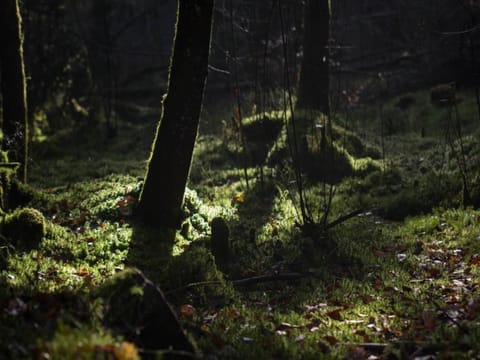 Surroundings [summer] (1-5 km)