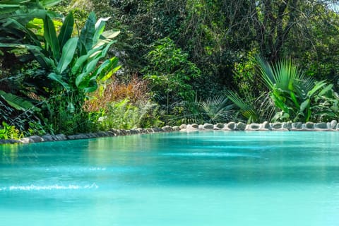 Outdoor pool, open 6:30 AM to 6:30 PM, sun loungers