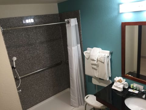 Standard Room, 1 King Bed, Accessible, Kitchenette | Bathroom | Combined shower/tub, hydromassage showerhead, designer toiletries