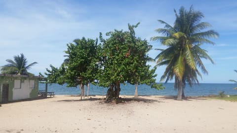 Beach nearby, beach towels, kayaking