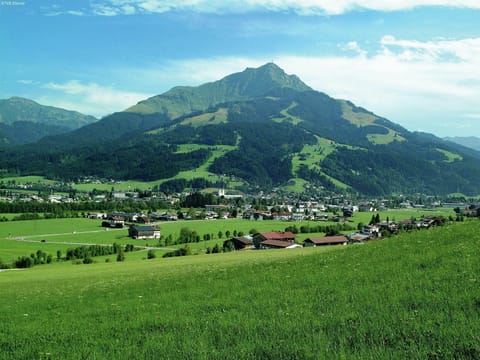 Region [summer] (>5 km)