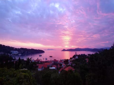 Immediate Surroundings [summer] (<1 km)