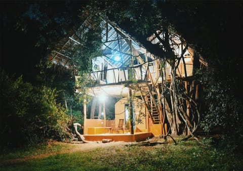 Deluxe Tree House, 1 Bedroom, Balcony, Garden View | Exterior