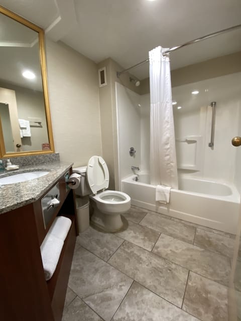 Suite, 1 King Bed with Sofa bed, Non Smoking (Efficiency) | Bathroom | Combined shower/tub, hydromassage showerhead, free toiletries