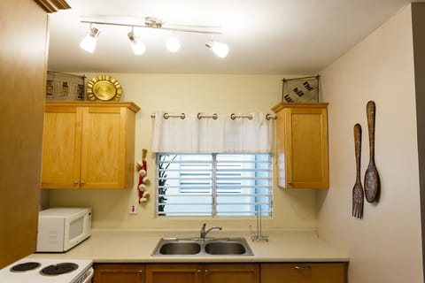 Premium Apartment, 1 Queen Bed, Kitchen, Mountain View | Private kitchen | Full-size fridge, microwave, oven, stovetop