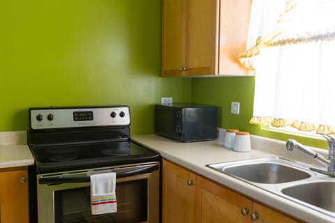 Apartment, 1 Bedroom, Kitchen, Mountain View | Private kitchen | Full-size fridge, microwave, oven, stovetop