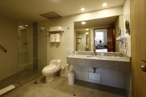 Junior Suite, 1 King Bed | Bathroom | Shower, designer toiletries, hair dryer, towels