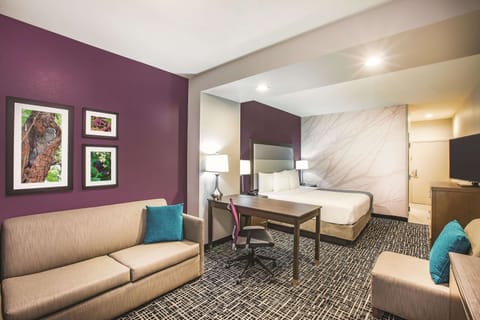 Deluxe Suite, 1 King Bed, Non Smoking | Premium bedding, down comforters, pillowtop beds, desk