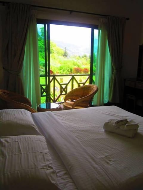 Standard Double Room | View from room