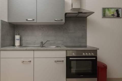 Apartment, 1 Bedroom, Terrace | Private kitchenette | Full-size fridge, microwave, oven, stovetop