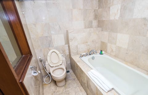 Combined shower/tub, hair dryer, bidet, towels