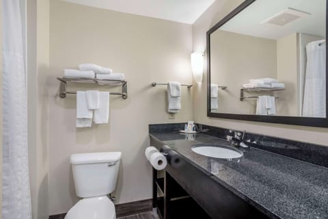 Suite, 1 King Bed, Non Smoking, Hot Tub | Bathroom | Combined shower/tub, free toiletries, hair dryer, towels