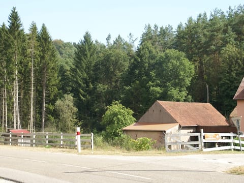 Holiday Home Exterior [summer]