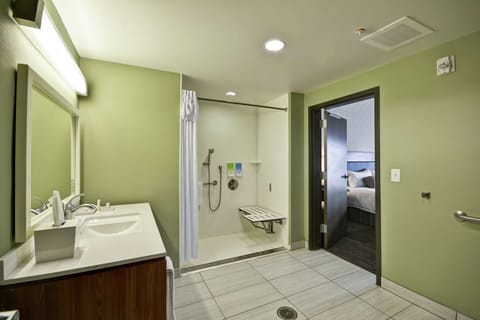 Studio, 1 King Bed, Accessible, Non Smoking (w/ roll-in shower) | Bathroom shower
