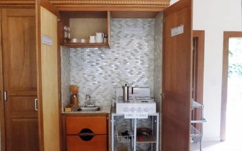 Deluxe Apartment, City View (small) | Private kitchen | Fridge, microwave, oven, stovetop