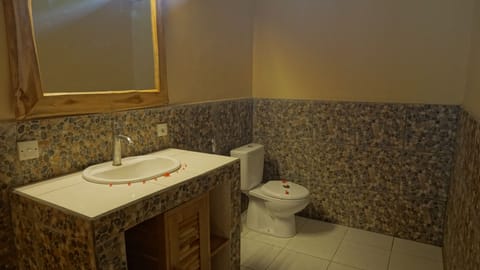 Deluxe Room | Bathroom | Shower, free toiletries, hair dryer, towels