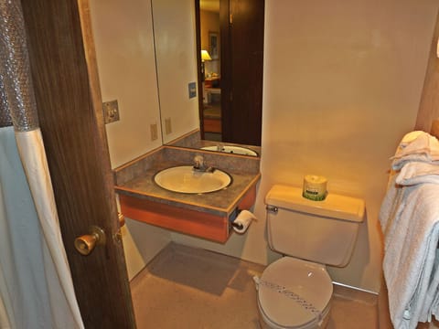 Combined shower/tub, free toiletries, hair dryer, towels