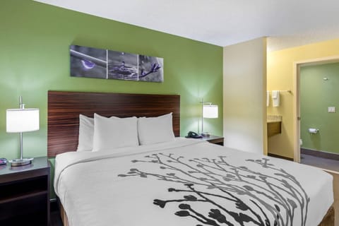Standard Room, 1 King Bed, Non Smoking | Premium bedding, in-room safe, desk, laptop workspace