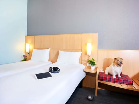 Standard Room, 2 Twin Beds | In-room safe, desk, soundproofing, iron/ironing board