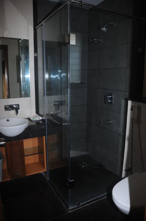 Executive Room | Bathroom | Shower, free toiletries, hair dryer, bidet