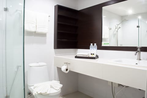 Suite Room | Bathroom | Shower, free toiletries, towels