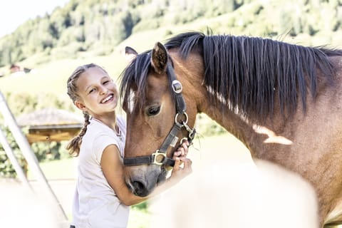 Horseback riding