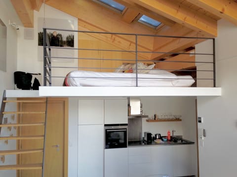 Stelle 10 - One-Bedroom Apartment (top floor) | Private kitchen | Full-size fridge, oven, stovetop, dishwasher