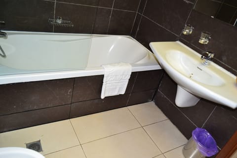 Standard Double Room | Bathroom | Free toiletries, hair dryer, bidet, towels