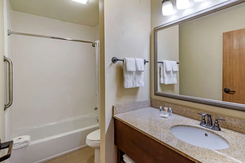 Room, Multiple Beds, Non Smoking | Bathroom | Combined shower/tub, free toiletries, hair dryer, towels