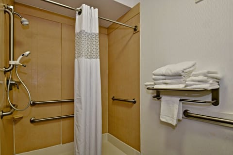 Studio, 1 King Bed, Accessible, Non Smoking | Bathroom shower