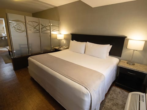 Executive Single Room, 1 King Bed | Hypo-allergenic bedding, in-room safe, desk, laptop workspace