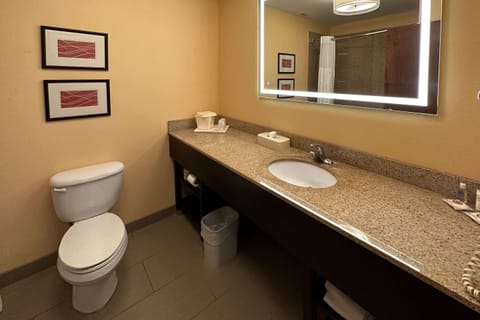 Basic Suite, Multiple Beds, Accessible, Non Smoking | 1 bedroom, in-room safe, desk, soundproofing