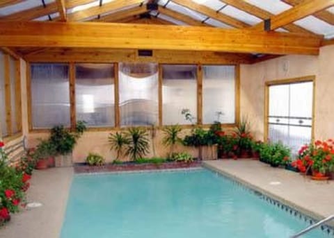 Indoor pool, open 8:30 AM to 9:30 PM, sun loungers