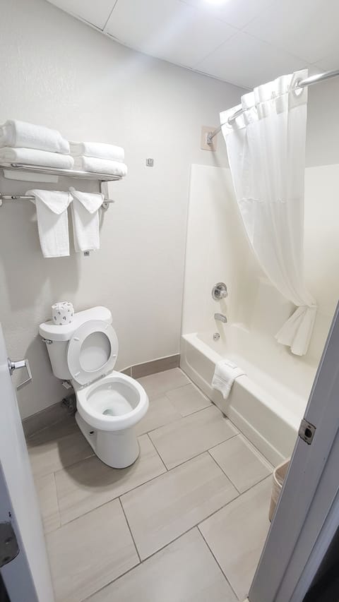 Combined shower/tub, free toiletries, hair dryer, towels