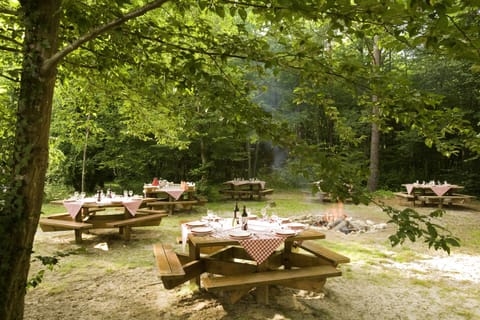 BBQ/picnic area