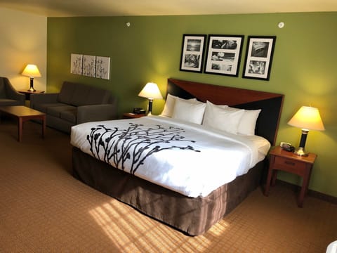 Suite, Non Smoking | Premium bedding, in-room safe, desk, blackout drapes