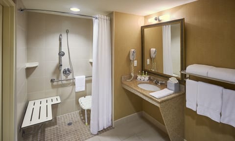 Room, 1 King Bed, Accessible, Non Smoking (Mobility, Transfer Shower) | Bathroom | Combined shower/tub, hair dryer, towels