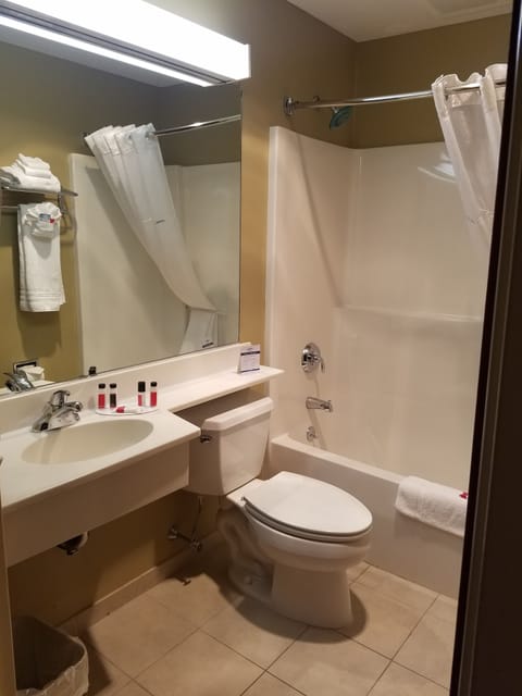 Combined shower/tub, free toiletries, hair dryer, towels