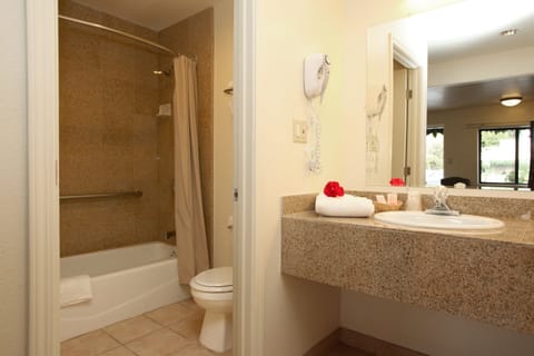 Standard Room, 1 Queen Bed | Bathroom | Combined shower/tub, free toiletries, hair dryer