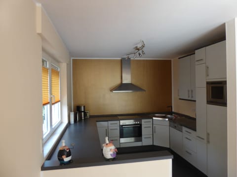 Deluxe Apartment, 1 Bedroom, Kitchen, Courtyard View | Private kitchen | Fridge, microwave, oven, stovetop