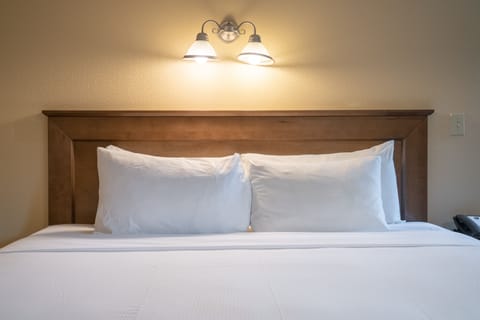 Standard Room, 1 King Bed | Hypo-allergenic bedding, free WiFi, bed sheets