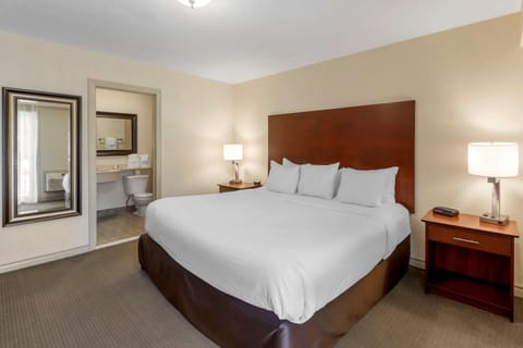 Business Room, 1 King Bed, Non Smoking | Blackout drapes, iron/ironing board, free WiFi, bed sheets