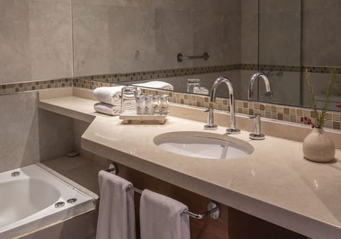 Deluxe Suite | Bathroom | Free toiletries, hair dryer, bidet, towels