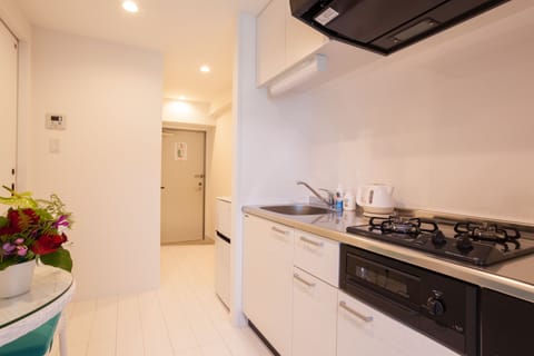 Full-size fridge, microwave, electric kettle, ice maker