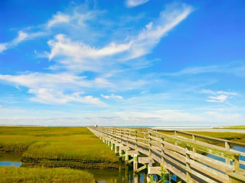 Beach nearby, fishing