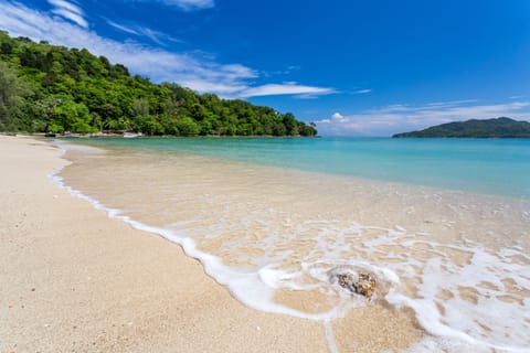 On the beach, white sand, kayaking