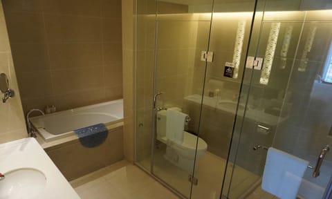 Luxury Suite | Bathroom | Combined shower/tub, free toiletries, hair dryer, bathrobes