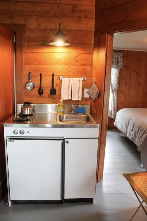 Appolt Cabin | Private kitchen | Fridge, microwave, electric kettle