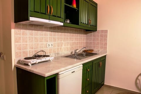 Apartment, 1 Bedroom | Private kitchenette | Fridge, stovetop, cookware/dishes/utensils